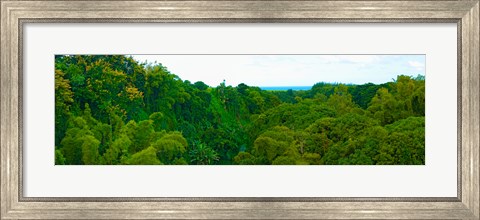Framed Trees on the bay, Rempart and Mamelles peaks, Tamarin Bay, Mauritius island, Mauritius Print