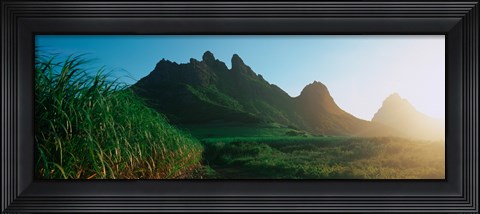Framed Sugar cane crop in a field, Trois Mamelles, Mauritius island, Mauritius Print