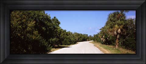 Framed Road passing through Ding Darling National Wildlife Refuge, Sanibel Island, Lee County, Florida, USA Print