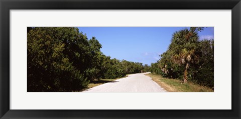 Framed Road passing through Ding Darling National Wildlife Refuge, Sanibel Island, Lee County, Florida, USA Print