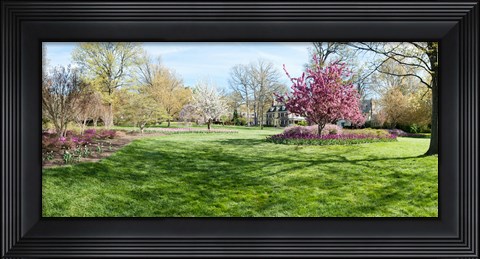 Framed Trees in a Garden, Sherwood Gardens, Baltimore, Maryland Print