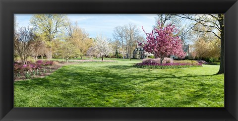 Framed Trees in a Garden, Sherwood Gardens, Baltimore, Maryland Print