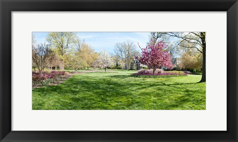 Framed Trees in a Garden, Sherwood Gardens, Baltimore, Maryland Print