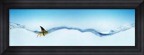 Framed Goldfish wearing shark fin Print