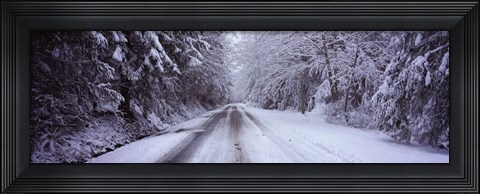 Framed Snow covered road passing through a forest, Fidalgo Island, Skagit County, Washington State Print