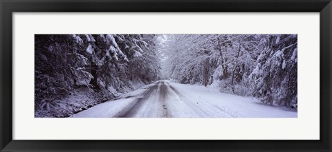 Framed Snow covered road passing through a forest, Fidalgo Island, Skagit County, Washington State Print