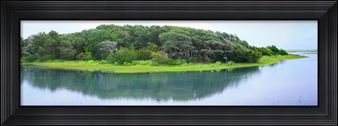 Framed Trees at Rachel Carson Coastal Nature Preserve, Beaufort, North Carolina, USA Print