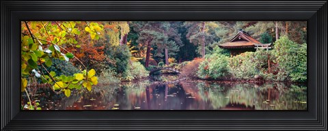 Framed Japanese Garden in autumn, Tatton Park, Cheshire, England Print