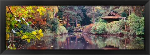 Framed Japanese Garden in autumn, Tatton Park, Cheshire, England Print