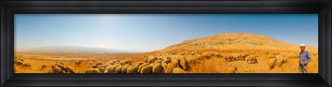 Framed Shepherd standing with flock of sheep, Jerusalem, Israel Print