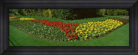 Framed Flowers in St. James&#39;s Park, City of Westminster, London, England Print
