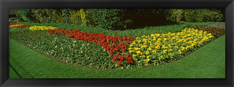 Framed Flowers in St. James&#39;s Park, City of Westminster, London, England Print