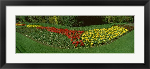 Framed Flowers in St. James&#39;s Park, City of Westminster, London, England Print