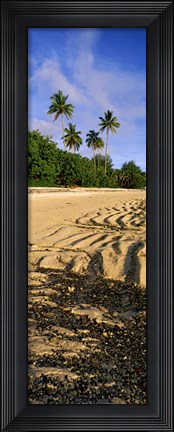 Framed Palm trees on the beach, Rarotonga, Cook Islands, New Zealand Print