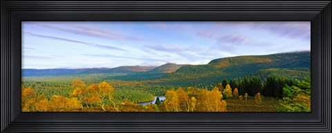 Framed Autumn trees at Loch an Eilein, Rothiemurchus Forest, Aviemore, Cairngorms National Park, Highlands Region, Scotland Print