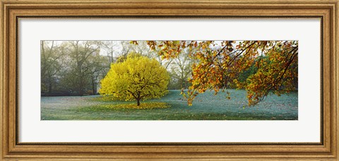 Framed Frost in autumn, St. James&#39;s Park, City Of Westminster, London, England Print