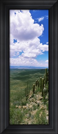 Framed Clouds over a landscape, Tucson Mountain Park, Tucson, Arizona, USA Print