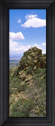 Framed Tucson Mountain Park facing East, Tucson, Arizona, USA Print