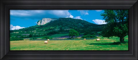 Framed Tree in a field, Mevouillon, Provence-Alpes-Cote d&#39;Azur, France Print