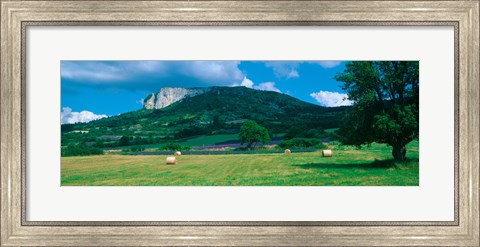 Framed Tree in a field, Mevouillon, Provence-Alpes-Cote d&#39;Azur, France Print