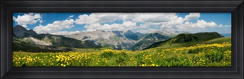 Framed Wildflowers in a field, Champs Pass, French Riviera, France Print