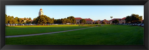Framed Stanford University Campus, Palo Alto, California Print