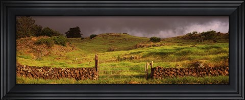 Framed Stone wall in a field, Kula, Maui, Hawaii, USA Print