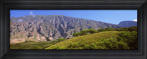 Framed Trees on a hill near Haleakala Crater, Maui, Hawaii, USA Print