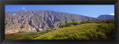 Framed Trees on a hill near Haleakala Crater, Maui, Hawaii, USA Print