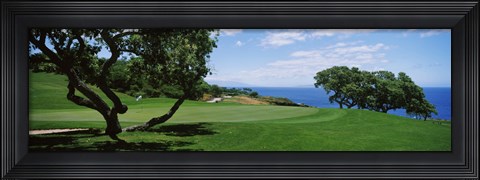 Framed Trees on a golf course, The Manele Golf course, Lanai City, Hawaii, USA Print
