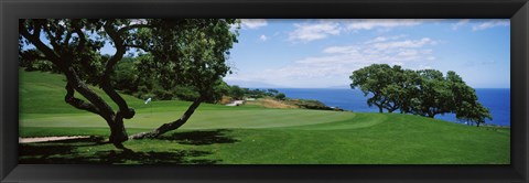Framed Trees on a golf course, The Manele Golf course, Lanai City, Hawaii, USA Print