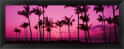 Framed Silhouette of palm trees at dusk, Hawaii, USA Print
