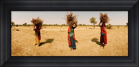Framed Women carrying firewood on their heads, India Print