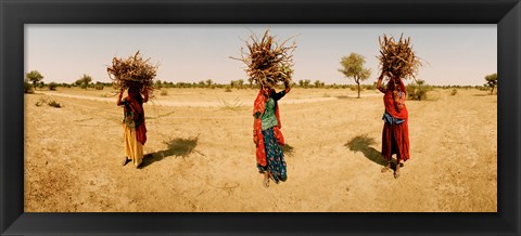 Framed Women carrying firewood on their heads, India Print