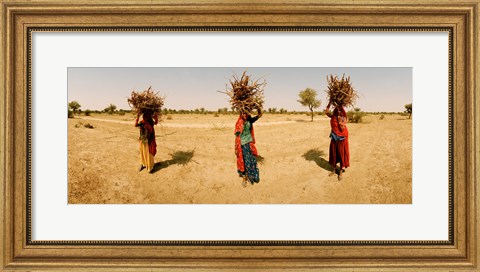 Framed Women carrying firewood on their heads, India Print