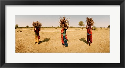 Framed Women carrying firewood on their heads, India Print