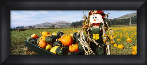 Framed Scarecrow in Pumpkin Patch, Half Moon Bay, California (horizontal) Print