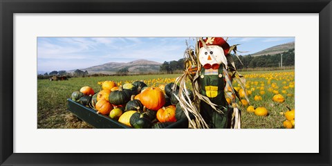 Framed Scarecrow in Pumpkin Patch, Half Moon Bay, California (horizontal) Print