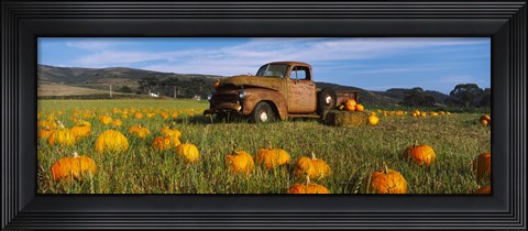 Framed Old Rusty Truck in Pumpkin Patch, Half Moon Bay, California, USA Print