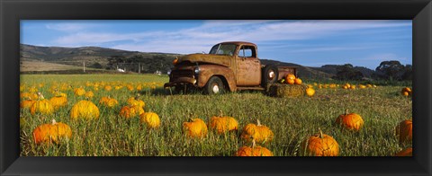 Framed Old Rusty Truck in Pumpkin Patch, Half Moon Bay, California, USA Print