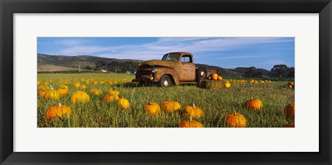 Framed Old Rusty Truck in Pumpkin Patch, Half Moon Bay, California, USA Print