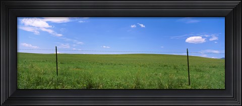 Framed Barbed Wire fence in a field, San Rafael Valley, Arizona, USA Print
