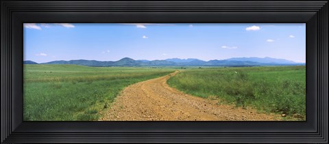 Framed Dirt road passing through a landscape, San Rafael Valley, Arizona Print