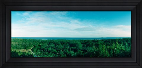 Framed High angle view of trees with Atlantic Ocean at Fort Tilden beach, Queens, New York City, New York State, USA Print
