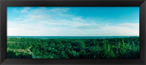 Framed High angle view of trees with Atlantic Ocean at Fort Tilden beach, Queens, New York City, New York State, USA Print