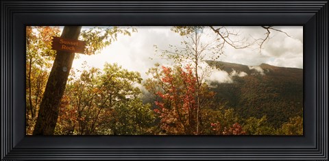 Framed Trees with Sunset Rock sign, Kaaterskill Falls area, Catskill Mountains, New York State, USA Print