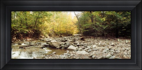 Framed Creek running through the Catskills, Kaaterskill Falls, New York State, USA Print