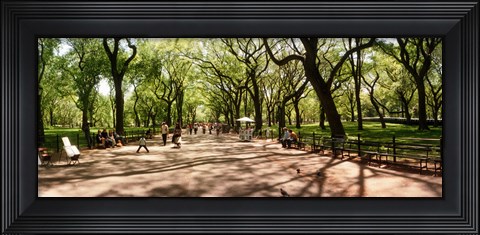 Framed Central Park, New York City, New York State Print