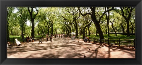 Framed Central Park, New York City, New York State Print