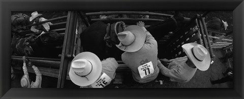 Framed High angle view of cowboys with horses at rodeo, Wichita Falls, Texas, USA Print